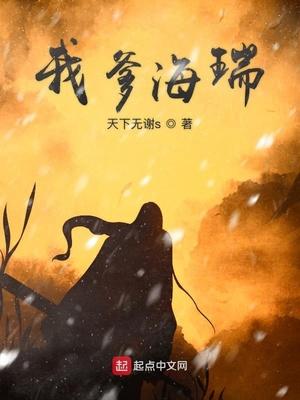 我爹海瑞封面