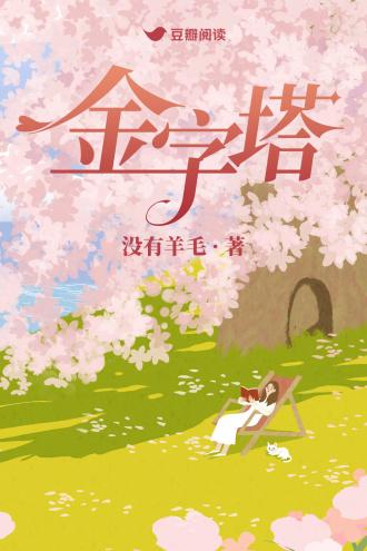 金字塔封面