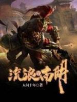 流浪在南明封面