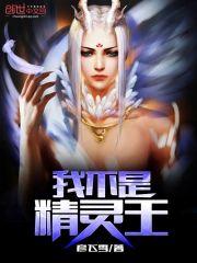 我不是精灵王封面