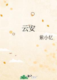 云安封面