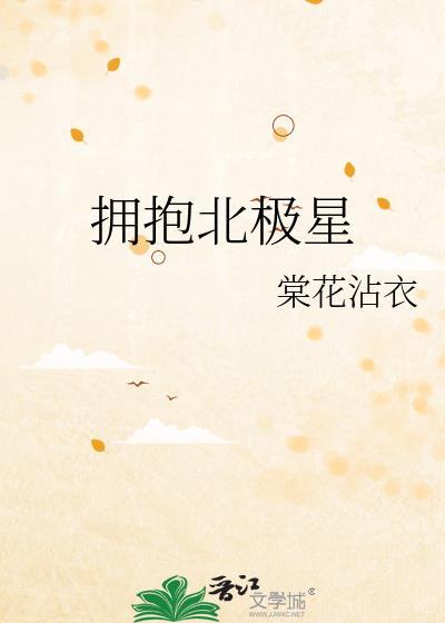 拥抱北极星封面
