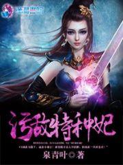 污敌特种妃封面
