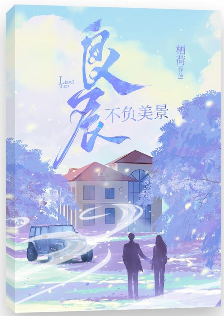 良辰不负美景封面