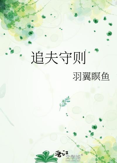 追夫守则封面