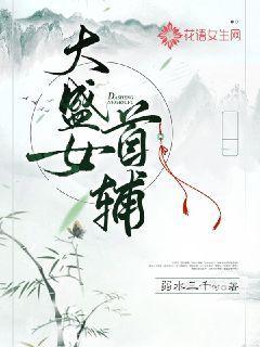 大盛女首辅封面