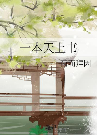 一本天上书封面