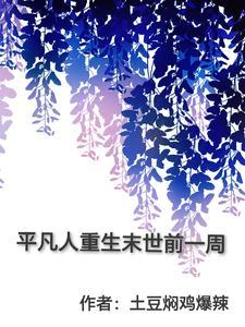 平凡人重生末世前一周封面