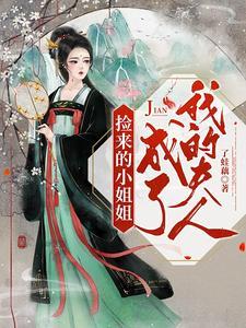 捡来的小姐姐成了我的夫人封面