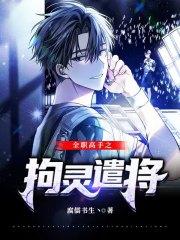 全职高手之拘灵遣将封面