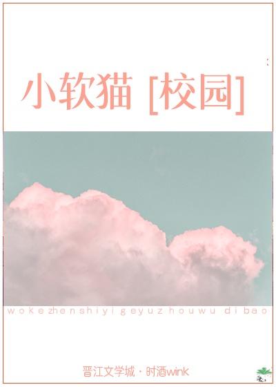 小软猫[校园]封面