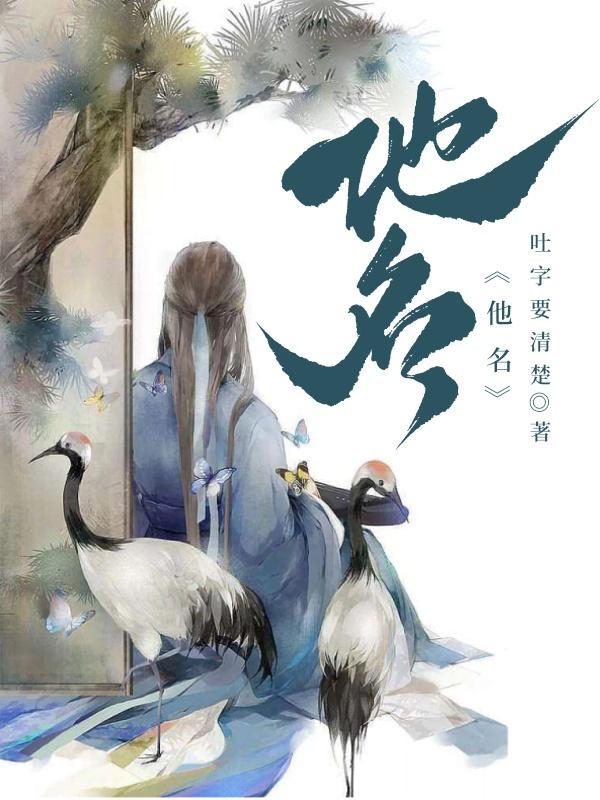 他名封面