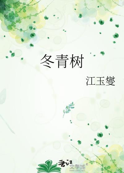 冬青树封面