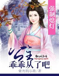 强制熄灯，公主乖乖从了吧封面