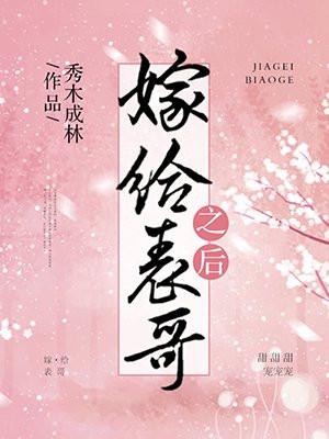嫁给表哥之后封面