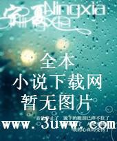 梦幻现实封面