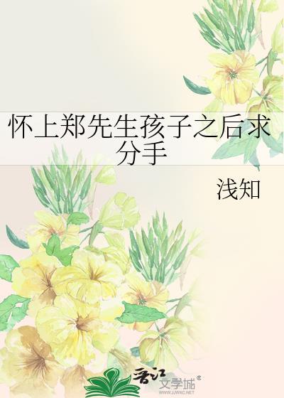 怀上郑先生孩子之后求分手封面