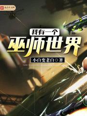 我有一个巫师世界封面