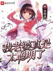 我老婆真是太聪明了封面