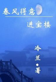 春风得意进宝楼封面
