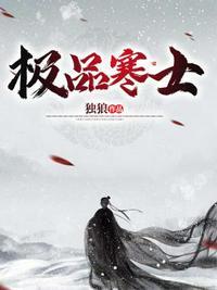 极品寒士封面