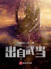 穿越武当开始封面