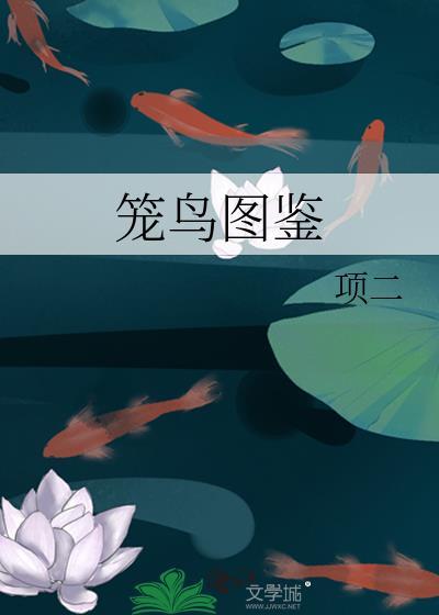 笼鸟图鉴封面