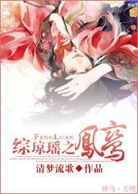 综琼瑶之凤鸾封面