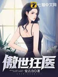 傲世狂医封面