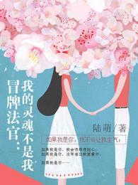 冒牌法官：我的灵魂不是我封面