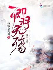卿羽无殇封面