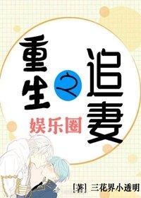 重生之追妻（娱乐圈）封面