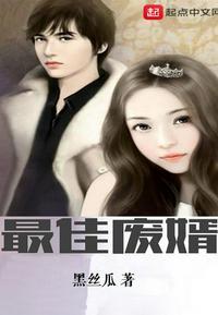 最佳废婿封面
