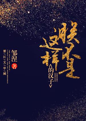 朕不是这样的汉子封面