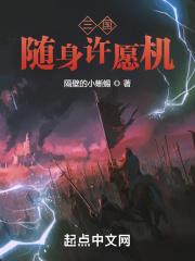 三国：随身许愿机封面