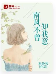南风不曾知我意封面