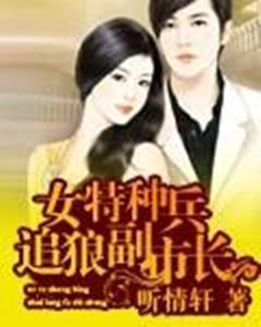 女特种兵追狼副市长封面
