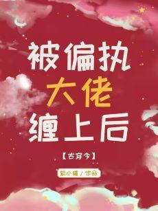 被偏执大佬缠上后[古穿今]封面