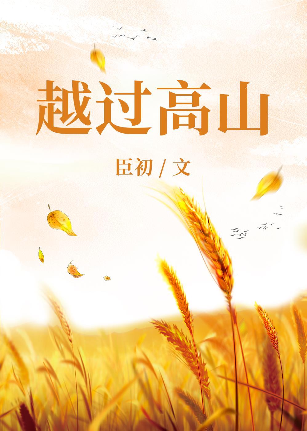 越过高山封面