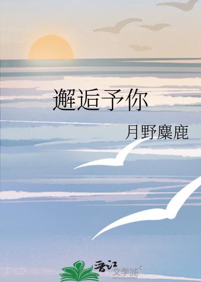 邂逅予你封面