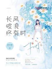 长风破浪终有时封面