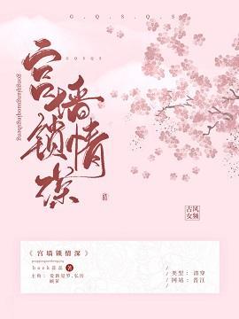 宫墻锁情深（清穿）封面
