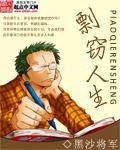 剽窃人生封面