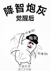 降智炮灰觉醒后封面
