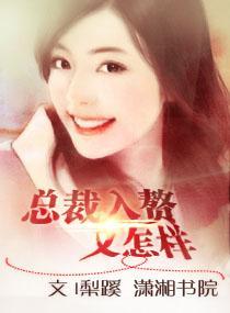 总裁入赘又怎样封面