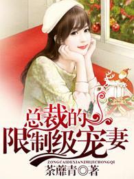 总裁的限制级宠妻封面