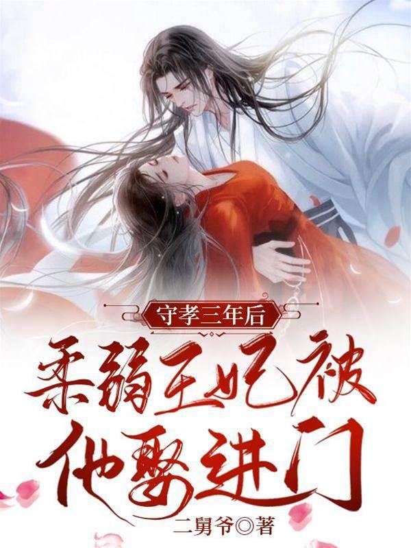 守孝三年后，柔弱王妃被他娶进门封面