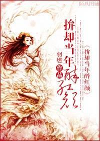 却当年醉红颜封面