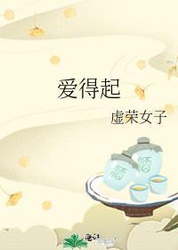爱得起封面