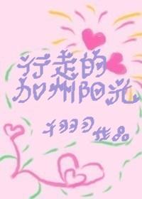 行走的加州阳光封面